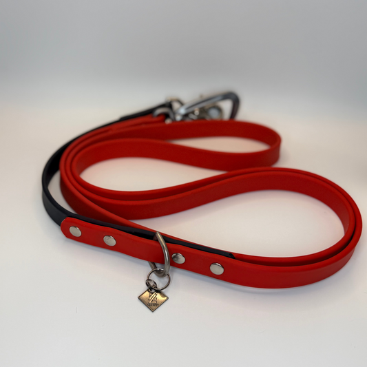 What Is BioThane® — And Why It’s Better Than Nylon or Leather for Dog Gear